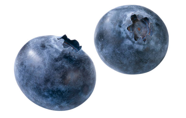 Blueberries Freh blueberries, isolated amerikanische heidelbeere stock pictures, royalty-free photos & images