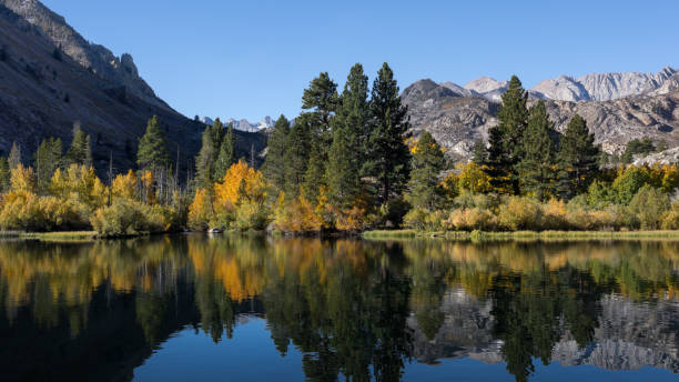 istock Fall Colors at Intake Lake Bishop California 1133601045