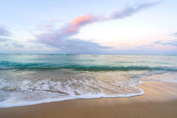 istock Pastel Sunrise at Waikiki beach 1133601223