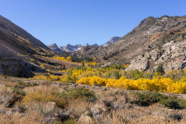 istock Fall colors in the Eastern Sierra, California 1133601344