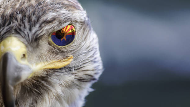 istock Arizona State flag on Eagle eye with dispalce 1133602800