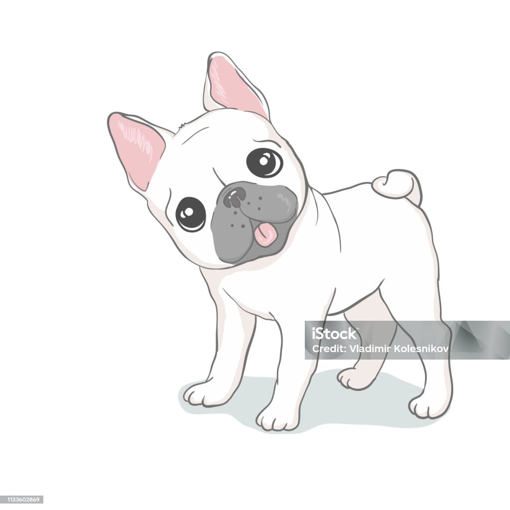 Hình Minh Họa Hoạt Hình Chó Pug Dễ Thương Thân Thiện Béo Mũm Mĩm ...