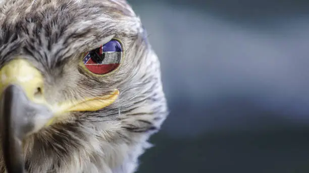 Photo of Mississippi state flag on Eagle eye with dispalce