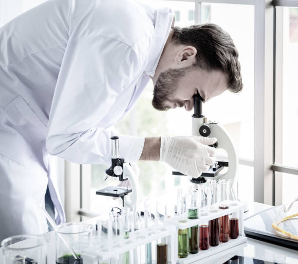 istock Scientist man working and look in to microscope in lab 1133603359