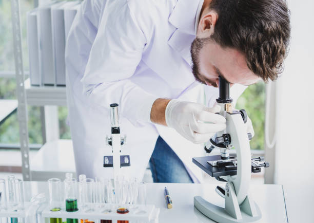 istock Scientists man working and look in to microscope in lab 1133603796