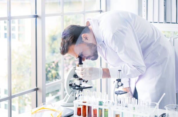 istock Scientists man working and look in to microscope in lab 1133603817