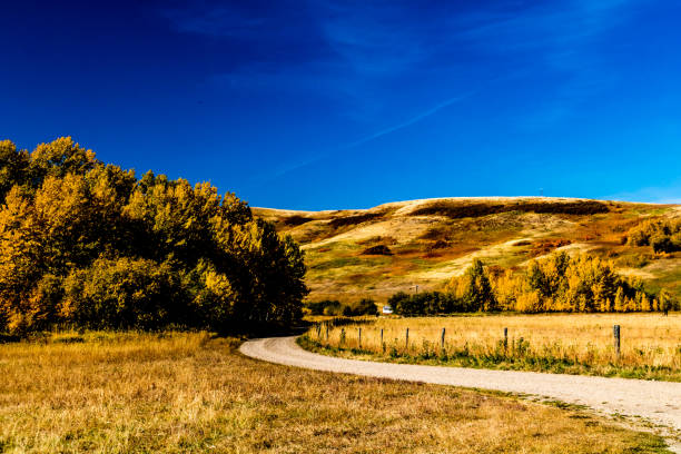 istock Fall colours on the prairies, Cypress County, Alberta, Canada 1133604699