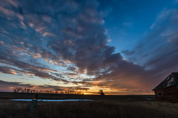 istock Sunset over a farmers field, Gliechen, Alberta, Canada 1133606319