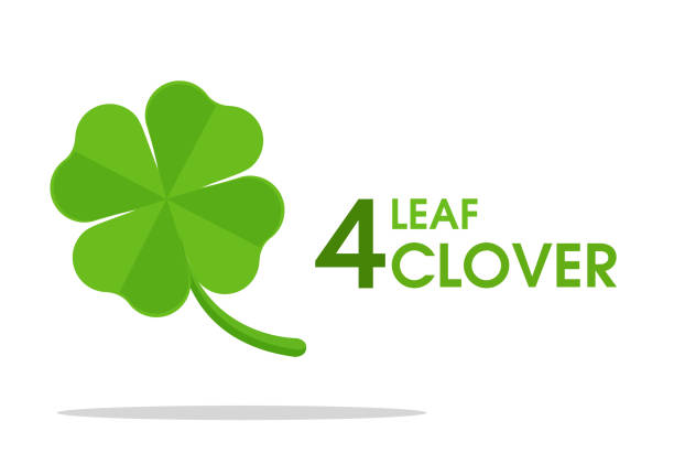 ilustrações de stock, clip art, desenhos animados e ícones de four leaf clover a symbol of good luck. - four leaf clover clover luck leaf