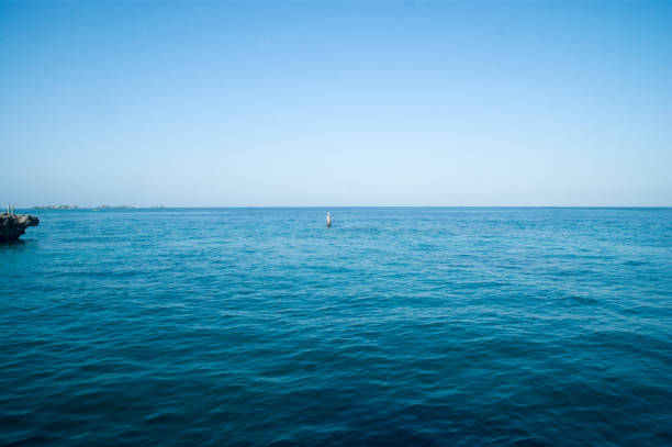 istock Rosario Islands, Colombia 1133608598