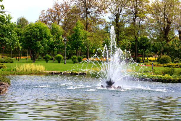 Beautiful fountain in the midst of a spring pond against the backdrop of a picturesque city park A beautiful fountain in the midst of a spring pond against the backdrop of a picturesque city park, green meadow and flowering chestnuts. pond fountains stock pictures, royalty-free photos & images