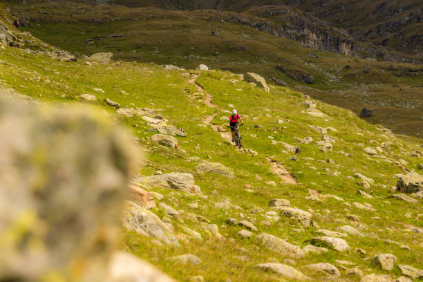 istock Mountain biker riding along a trail in the Alps 1133609699