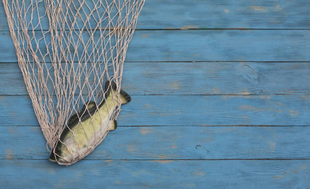 fishing net on a blue wooden