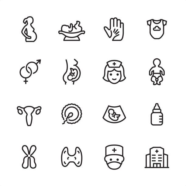 Pregnancy - outline icon set 16 line black on white icons / Pregnancy Set #84
Pixel Perfect Principle - all the icons are designed in 48x48pх square, outline stroke 2px.

First row of outline icons contains: 
Pregnant, Newborn on the Weights, A Helping Hand, Infant Bodysuit;

Second row contains: 
Gender Symbol, Pregnancy, Nurse, Newborn;

Third row contains: 
Uterus, Human Fertility, Ultrasound Baby, Baby Bottle; 

Fourth row contains: 
Chromosome, Thyroid, Obstetrician, Maternity Hospital.

Complete Inlinico collection - https://www.istockphoto.com/collaboration/boards/2MS6Qck-_UuiVTh288h3fQ gynecology stock illustrations