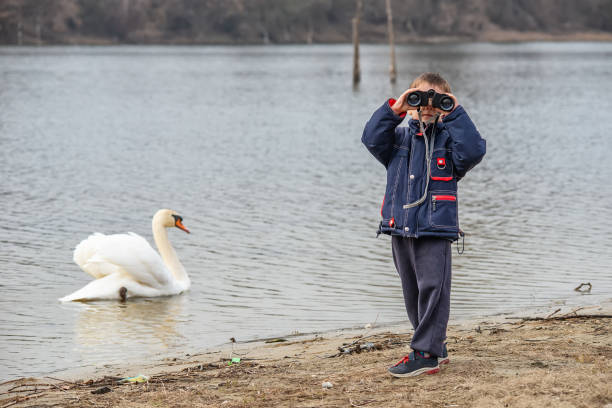 istock A little boy looks at the swans through binoculars 1133611782
