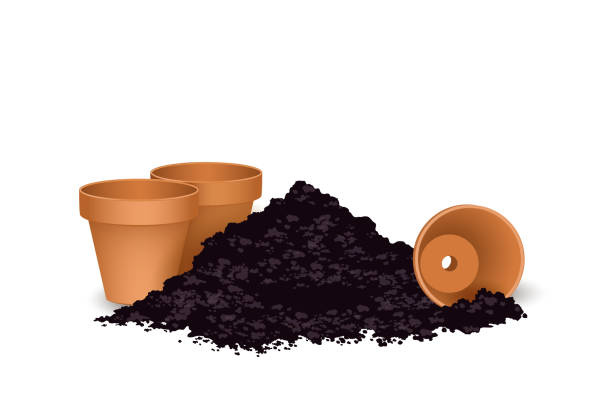 Terra cotta Flower pots with the soil, Vector illustration isolated on white background Terra cotta Flower pots with the soil,
Vector illustration isolated on white background terra stock illustrations