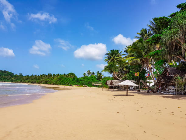 istock Talalla Beach, Sri Lanka 1133613543