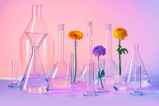 variety of partly filled laboratory glassware including some flower heads
