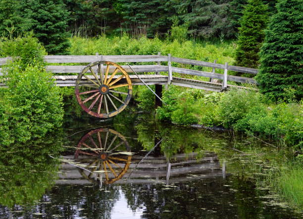 Vintage water activated wheel over a pond