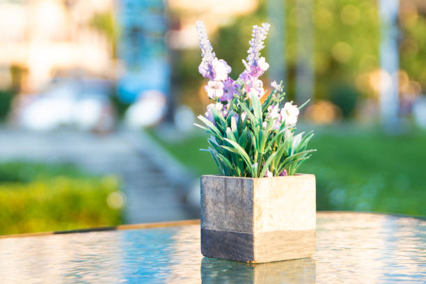 Background flower on the street table. Interior.
