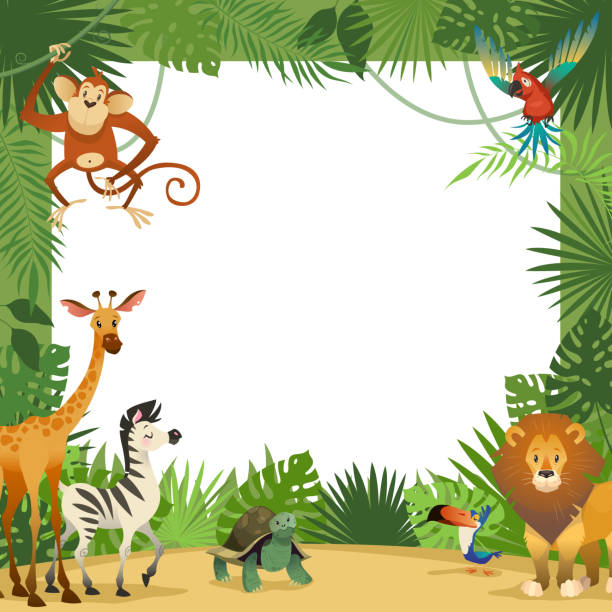 karta zwierząt dżungli. ramka zwierząt tropikalnych liści powitanie baby banner zoo granicy szablon strony dzieci - cartoon monkey animal tree stock illustrations