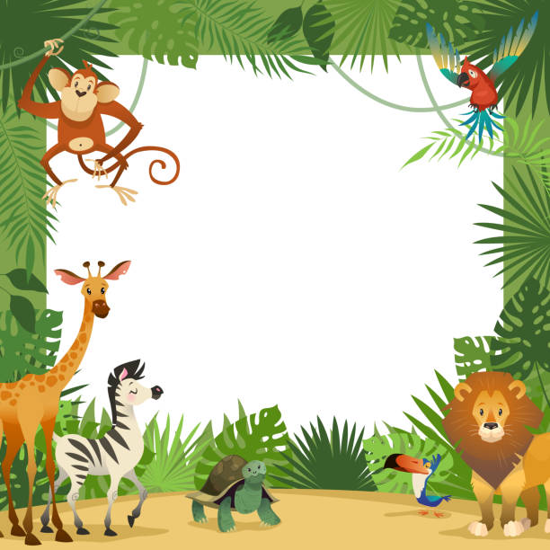 叢林動物卡。框架動物熱帶葉子問候嬰兒橫幅動物園邊界範本党的孩子 - 猴子 圖片 幅插畫檔、美工圖案、卡通及圖標