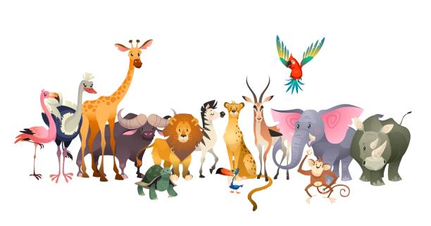 ilustraciones, imágenes clip art, dibujos animados e iconos de stock de animales salvajes. safari fauna africa feliz animal león cebra elefante rinoceronte loro jirafa avestruz flamingo lindo selva - temas de animales