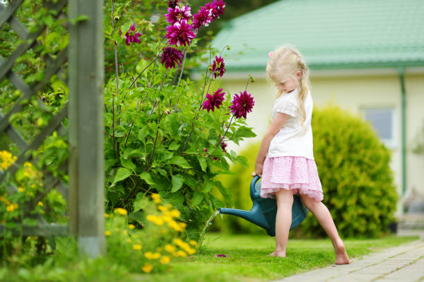 cute dziewczynka podlewania kwiatów w ogrodzie w letni dzień. dziecko używające węża ogrodowego w słoneczny dzień - bush child gardening sunlight zdjęcia i obrazy z banku zdjęć