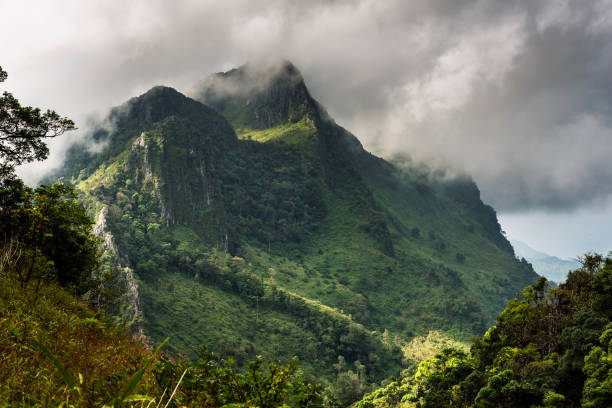istock High mountains  tropical rainforests  Thailand 1133627411