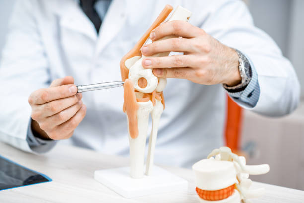 Therapist showing knee joint model Close-up of the therapist showing knee joint model during the medical consultation orthopedics photos stock pictures, royalty-free photos & images