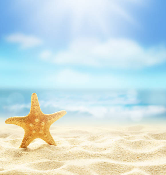 Summer beach background. Sand and sea and sky