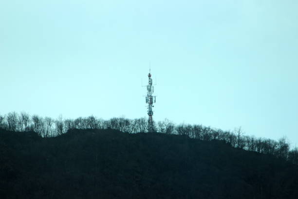 istock Antenna mast in the forest 1133633245