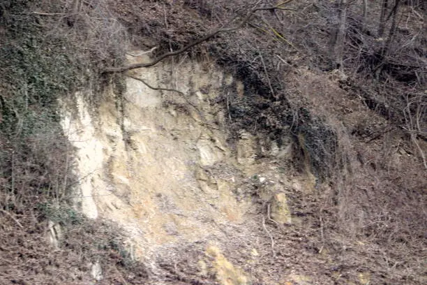 Loamy soil eroded forms a tear-off edge