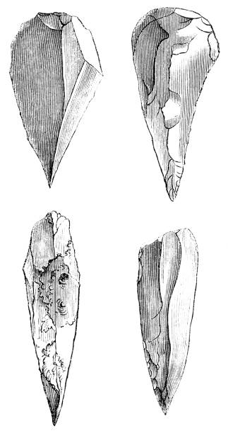 ilustraciones, imágenes clip art, dibujos animados e iconos de stock de las cabezas de lanza de pedernal de mousterian prehistóricas-160.000 a 40.000 hace años - prehistoric antiquity illustrations