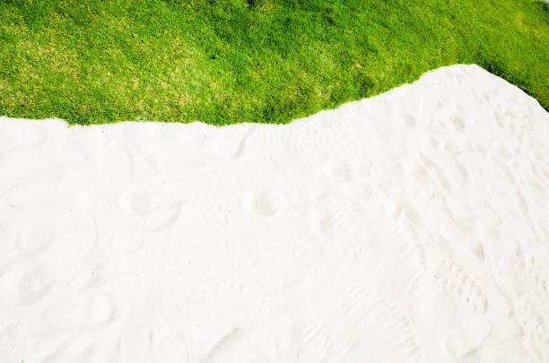 Turf, Lawn, Grass, Sand, Blank, Vacations, Weekend, Sport, Boundary,