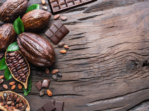 istock Cocoa pod, cocoa beans and chocolate. 1133640381