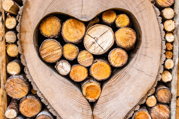istock heart - firewood 1133640386