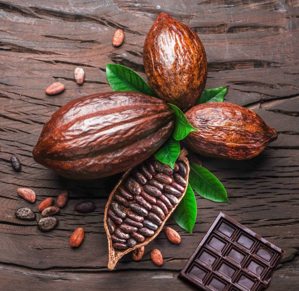 istock Cocoa pod, cocoa beans and chocolate. 1133640540