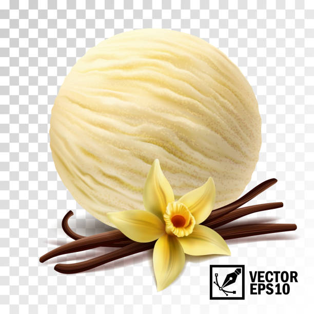 illustrations, cliparts, dessins animés et icônes de boules de crème glacée à la vanille vectorielles réalistes (fleur de vanille et bâtons) - glace à la vanille