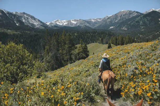 Photo of Horse back riding in the Rocky Mountains