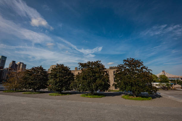 istock Roosevelt Island, New York 1133641837