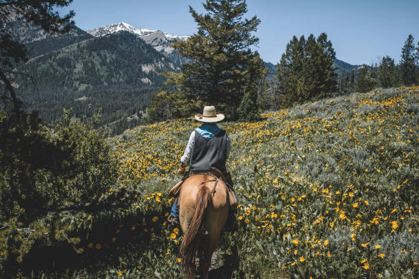 istock Trail riding in the Rocky Mountains 1133642021