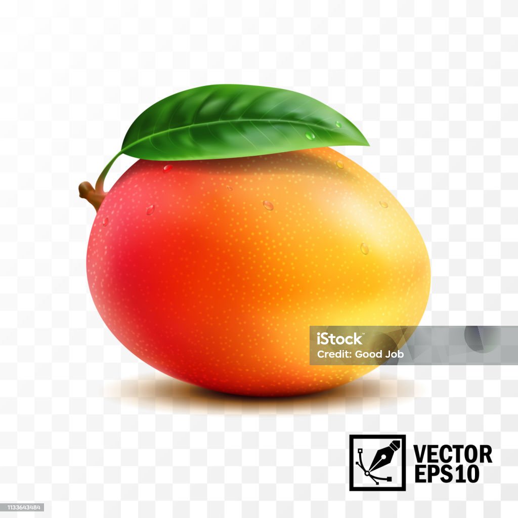 Fruta de mango con hoja en la manija, Vector aislado realista 3D, malla hecha a mano editable - arte vectorial de Mango - Fruta tropical libre de derechos