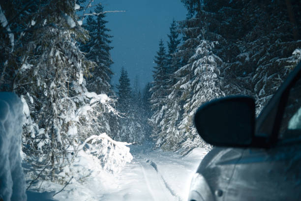 istock Snowy road in the winter forest. Night time 1133643715