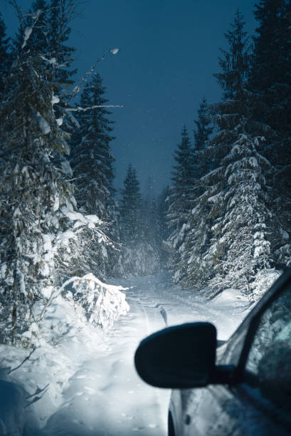 istock Snowy road in the winter forest. Night time 1133643793