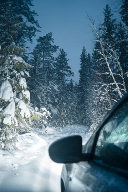 istock Snowy road in the winter forest. Night time 1133643803