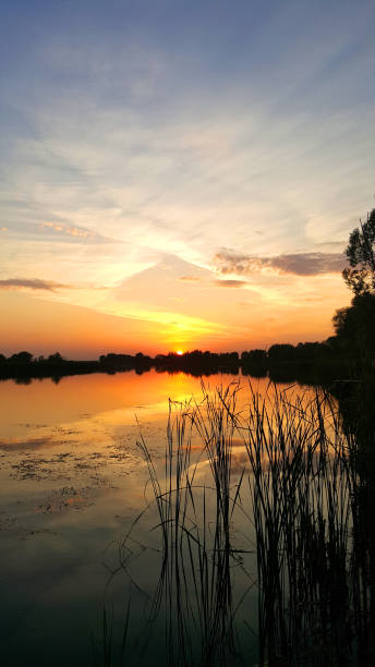 istock Decline over the lake in the quiet summer evening 1133644301