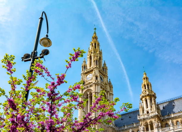 Vienna City Hall towers in spring, Austria Vienna City Hall towers in spring, Austria vienna city hall stock pictures, royalty-free photos & images