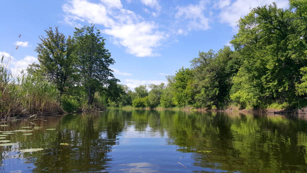 istock Warm sunny day on the quiet river 1133644368