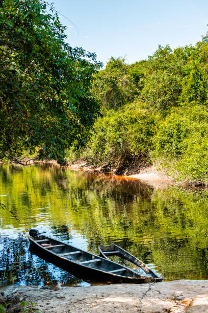 istock Boats anchored at the Yutaje harbor. Amazonas State, Venezuela 1133644997